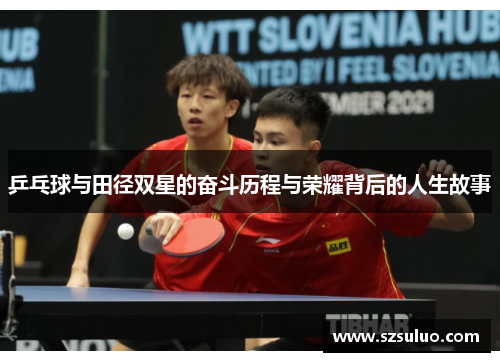 乒乓球与田径双星的奋斗历程与荣耀背后的人生故事