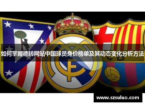 如何掌握德转网站中国球员身价榜单及其动态变化分析方法