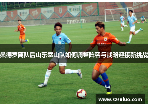桑德罗离队后山东泰山队如何调整阵容与战略迎接新挑战 桑德罗离队后山东泰山队如何调整阵容与战略迎接新挑战