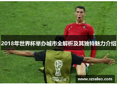 2018年世界杯举办城市全解析及其独特魅力介绍