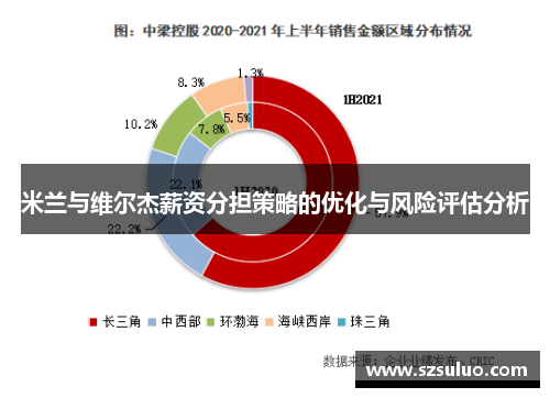 米兰与维尔杰薪资分担策略的优化与风险评估分析