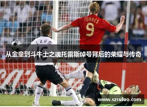 从金童到斗牛士之魂托雷斯绰号背后的荣耀与传奇