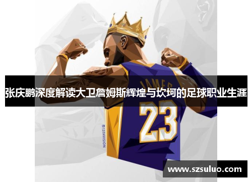 张庆鹏深度解读大卫詹姆斯辉煌与坎坷的足球职业生涯
