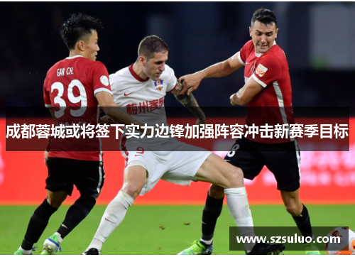 成都蓉城或将签下实力边锋加强阵容冲击新赛季目标