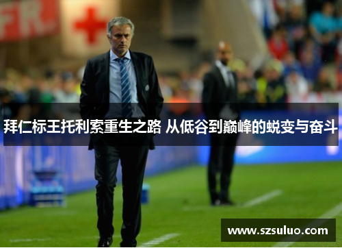 拜仁标王托利索重生之路 从低谷到巅峰的蜕变与奋斗